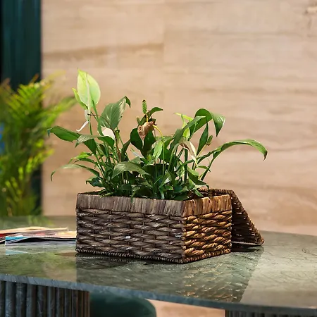 Hotel Voger Alacati Prive Çeşme