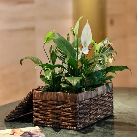 Hotel Voger Alacati Prive Çeşme