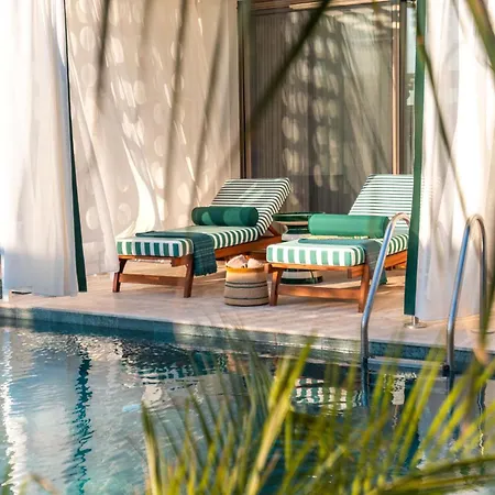 The Xon Hotel *